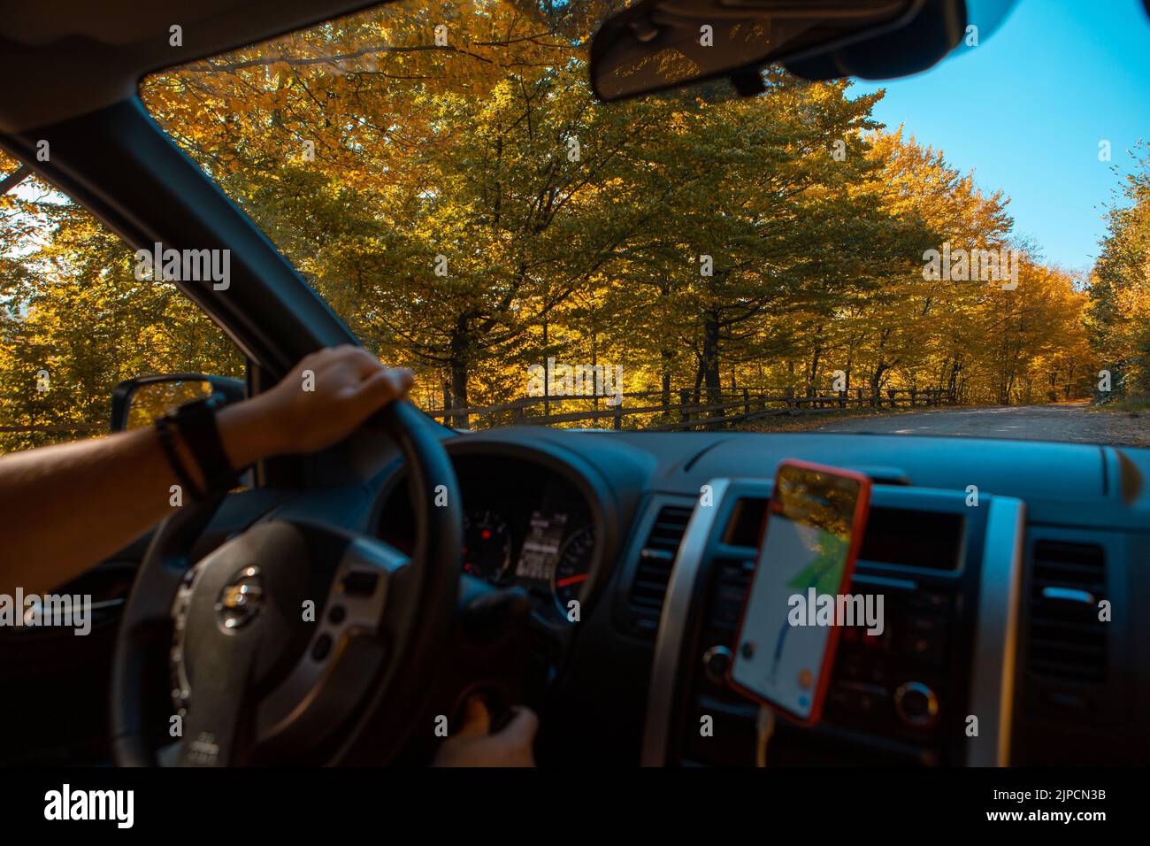 guida auto autunno foresta sulla strada di navigazione sul telefono Foto Stock