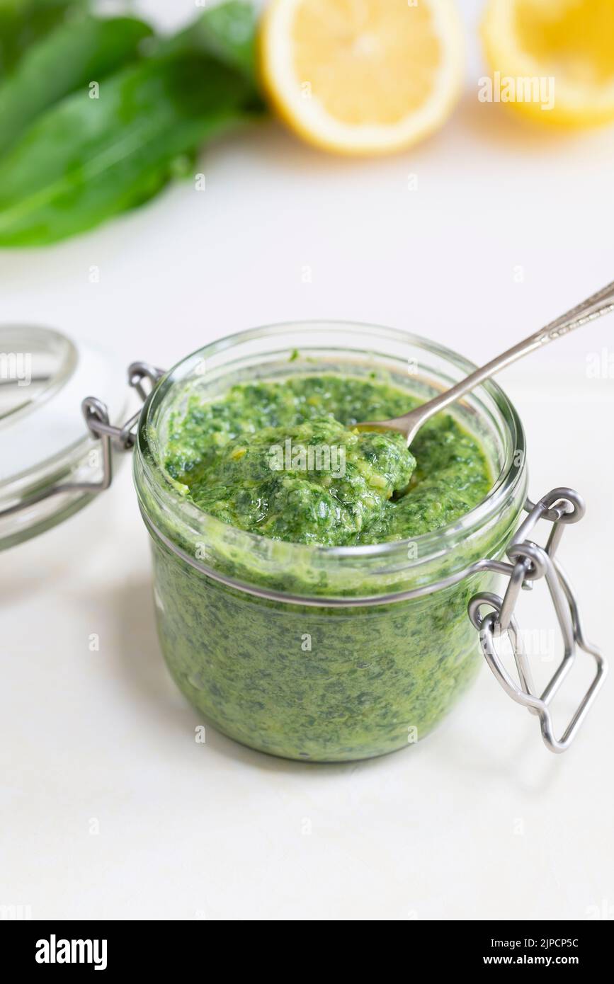 Pesto di aglio selvatico appena fatto. Foto Stock