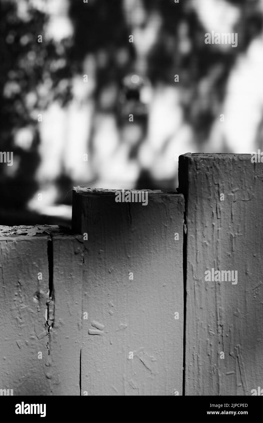 Primo piano di pali in legno da esterno in piedi come superficie per un oggetto in bianco e nero. Foto Stock