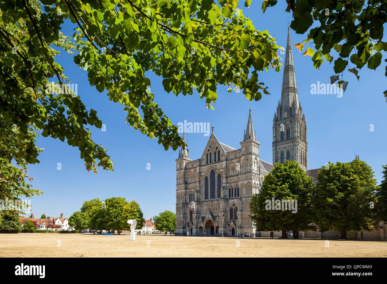 Salisbury Cathedral in estate, Wiltshire, Inghilterra. Foto Stock
