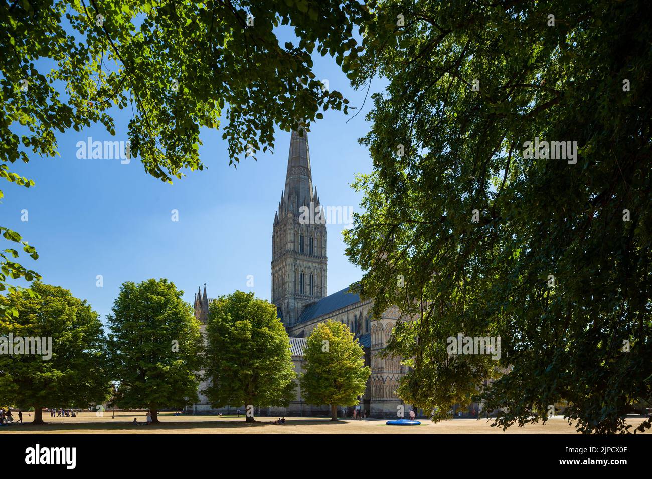 Pomeriggio estivo alla Cattedrale di Salisbury, nel Wiltshire, Inghilterra. Foto Stock