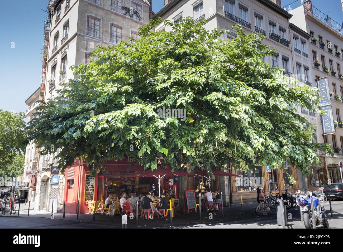 Lione, traboules, métro, fleuve, funiculaire, confluenza Foto Stock