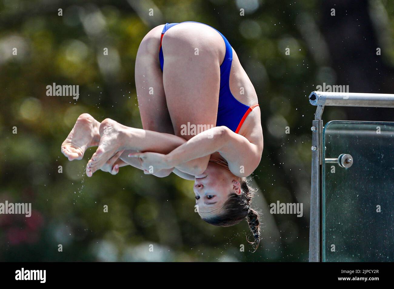 ROMA, ITALIA - 17 AGOSTO: Else Praasterink of the Netherlands durante la piattaforma femminile all'European Aquatics Roma 2022 allo Stadio del Nuoto il 17 agosto 2022 a Roma (Foto di Nikola Krstic/Orange Pictures) NOCNSF Foto Stock