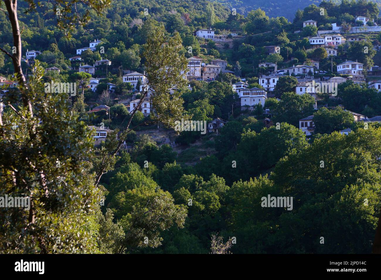 Villaggio tradizionale a Pilio Grecia Foto Stock