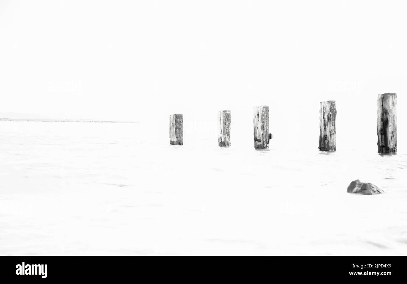 Vecchi groynes di legno nell'atlantico, a Crow Point, Devon UK Foto Stock