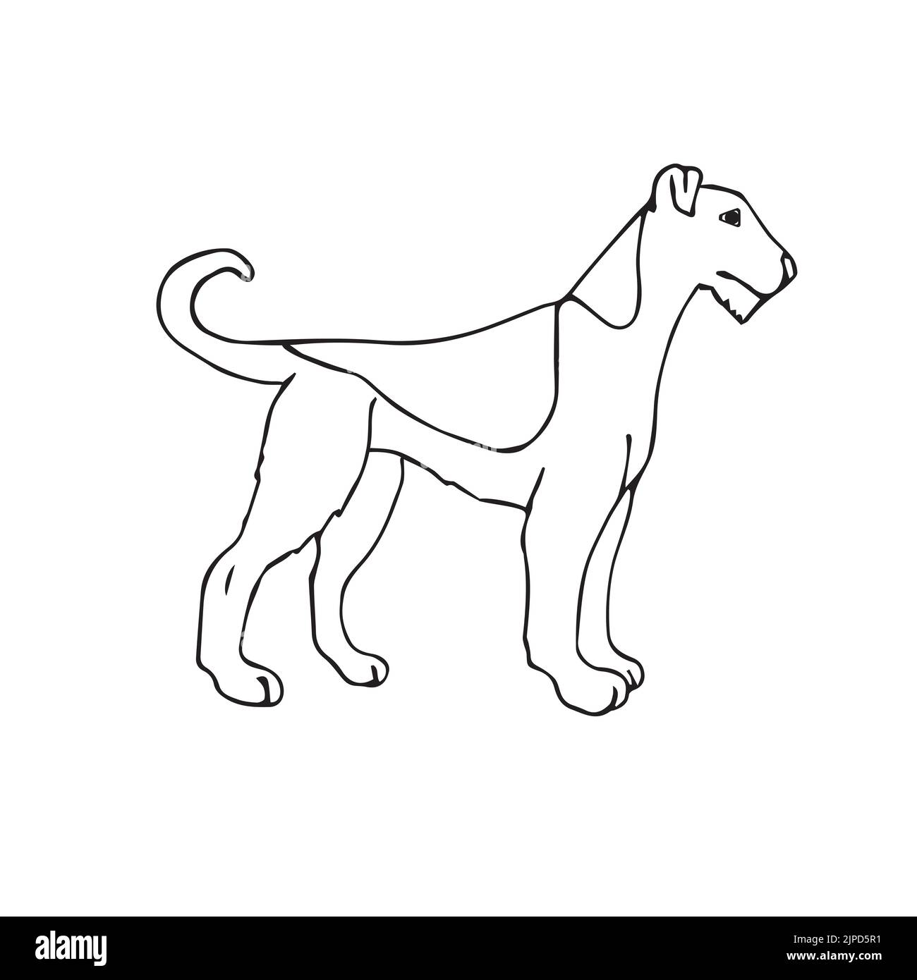 Vettore disegnato a mano doodle schizzo welsh terrier cane Illustrazione Vettoriale