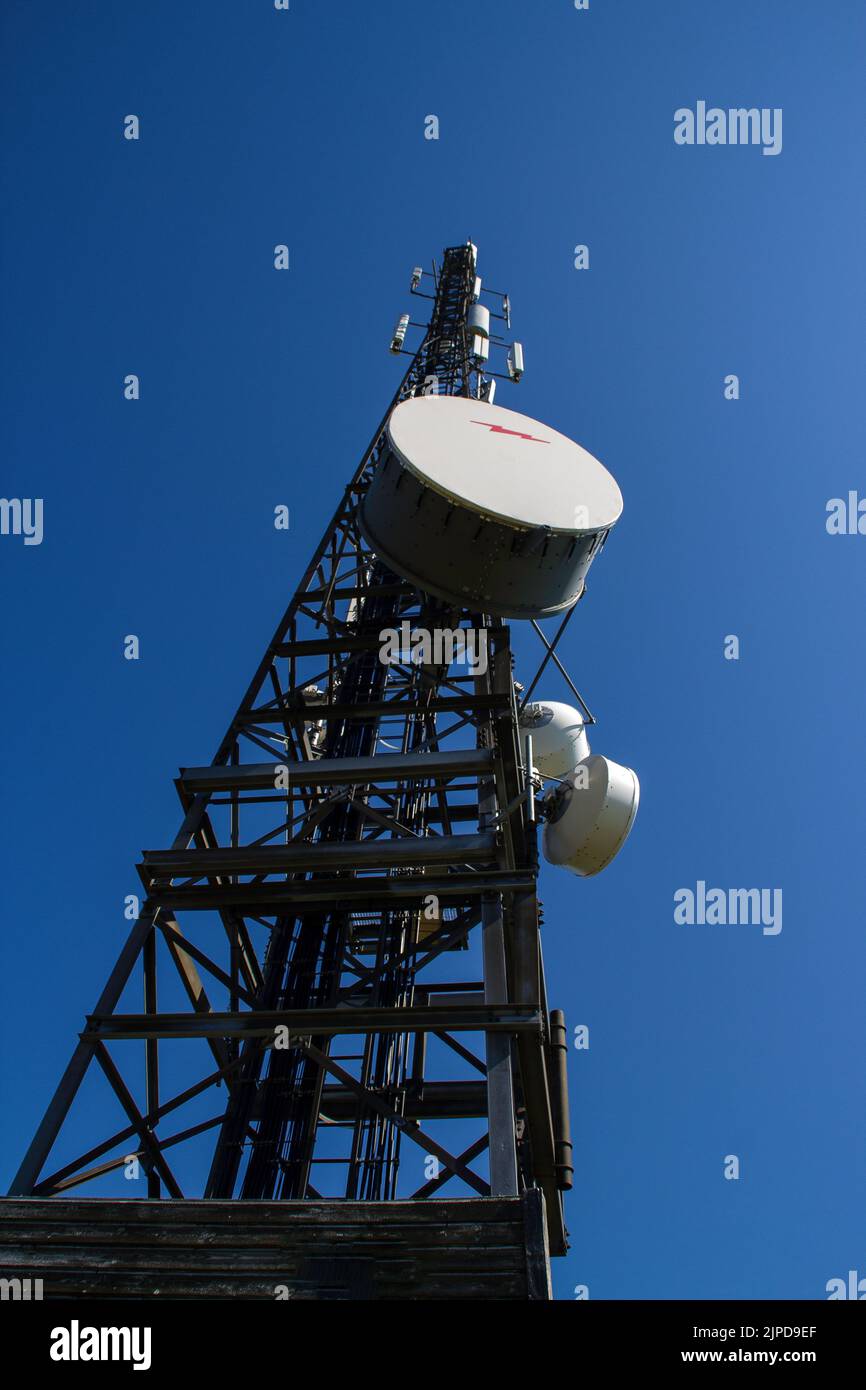 Torre con albero nel cielo blu Foto Stock