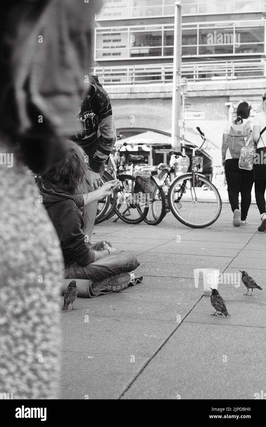 Uno scatto verticale di un vecchio che alimenta gli uccelli ad Alexanderplatz a Berlino, in Germania Foto Stock