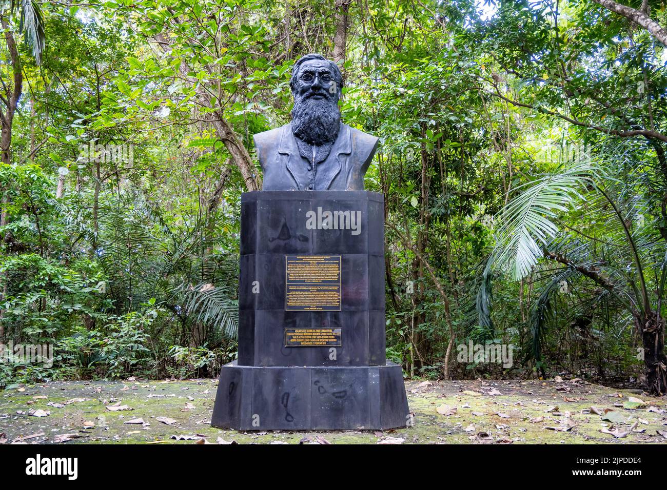 Una statua del famoso naturalista Alfred Russel Wallace al Parco Nazionale e Riserva Naturale di Tangkoko. Sulawesi, Indonesia. Foto Stock