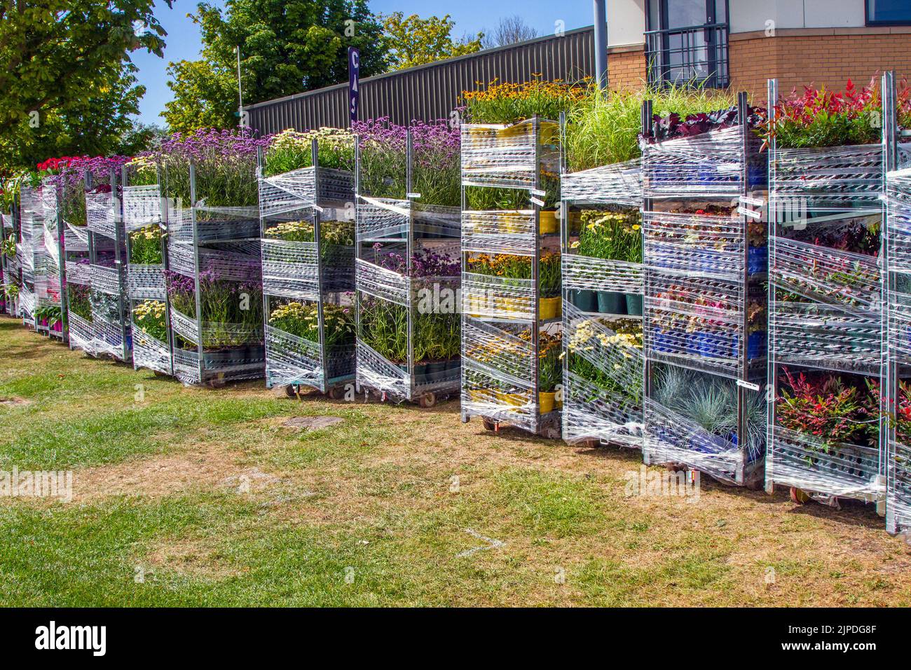 Mostre floreali impilate sul carrello del tipo a container per piante del centro del giardino al Southport Flower Show, Merseyside, Regno Unito. Agosto 2022:. La più grande mostra indipendente di fiori in Inghilterra si aspetta migliaia di visitatori durante l'evento orticolo di quattro giorni. Foto Stock