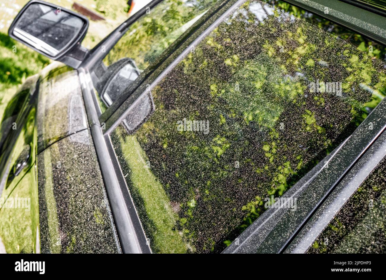 Auto coperta da polline giallo. Stagione allergica primaverile. Granelli di polline Foto Stock