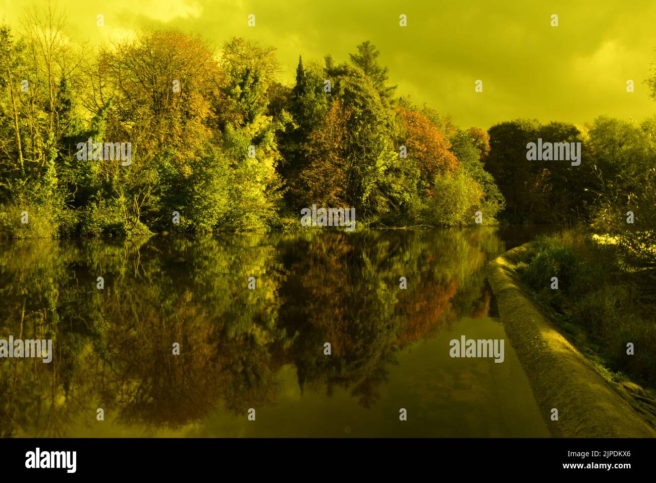 Colori autunnali su weir, River Nore, River Nore Linear Park, Riverside Walk, Kilkenny, Irlanda Foto Stock