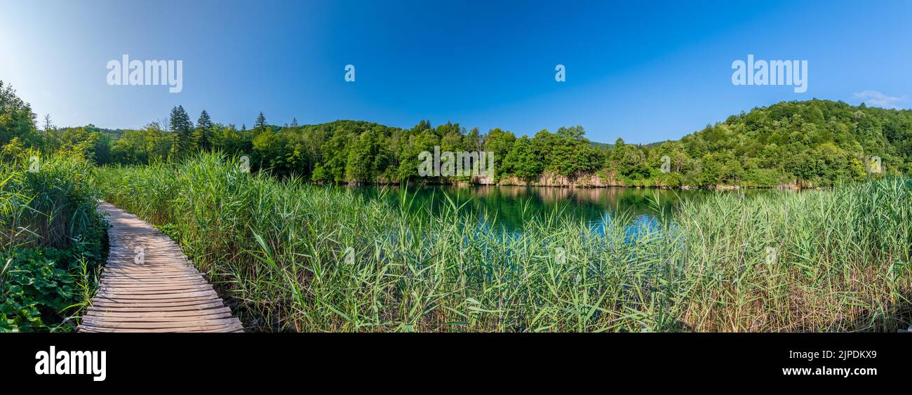 Sentiero in legno ai laghi di Plitvice, Croazia. Strada nella foresta vicino a bellissimi laghi. Luogo tranquillo nel parco nazionale. Foto Stock