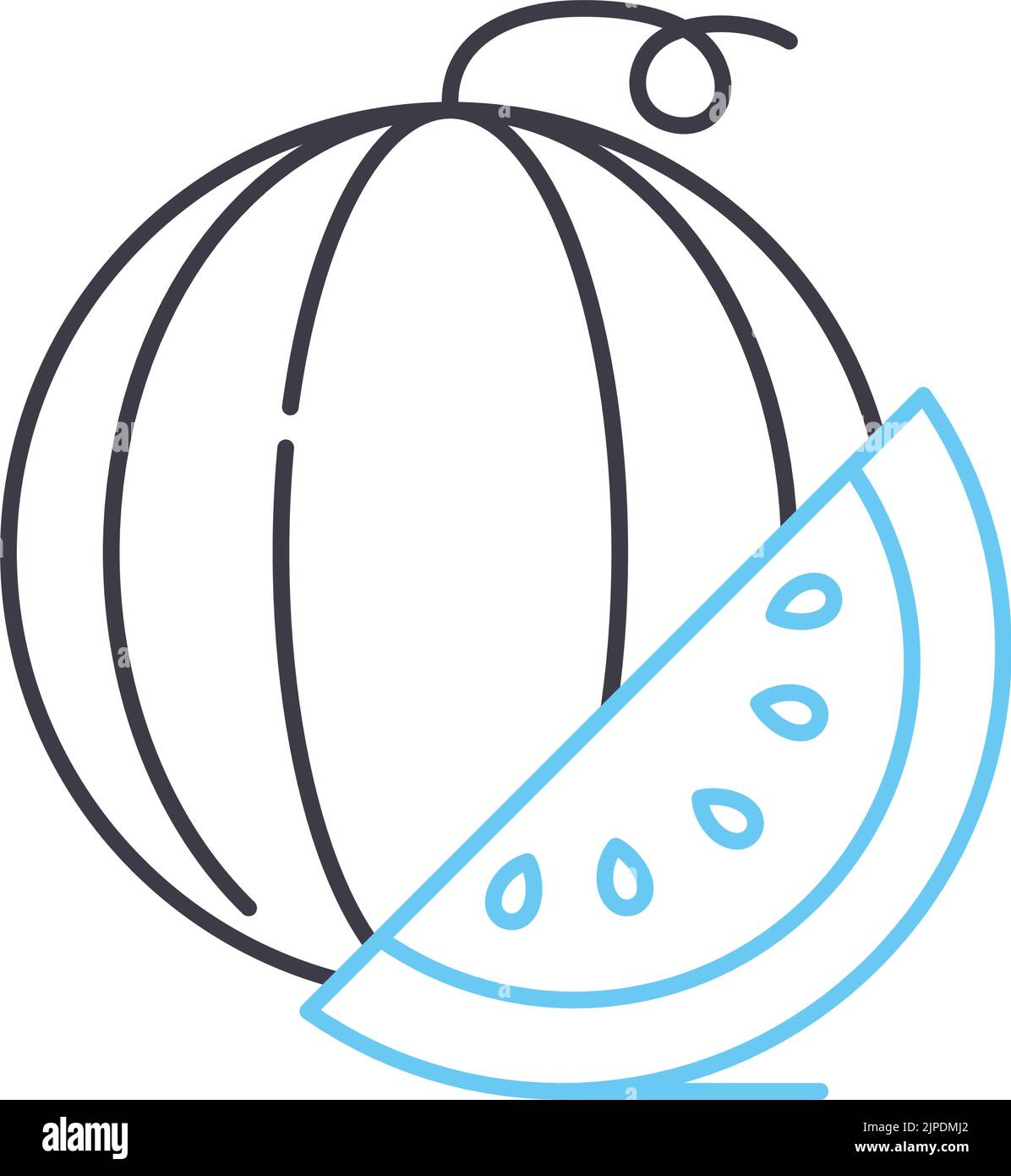 icona della linea di melone ad acqua, simbolo di contorno, illustrazione vettoriale, simbolo concettuale Illustrazione Vettoriale