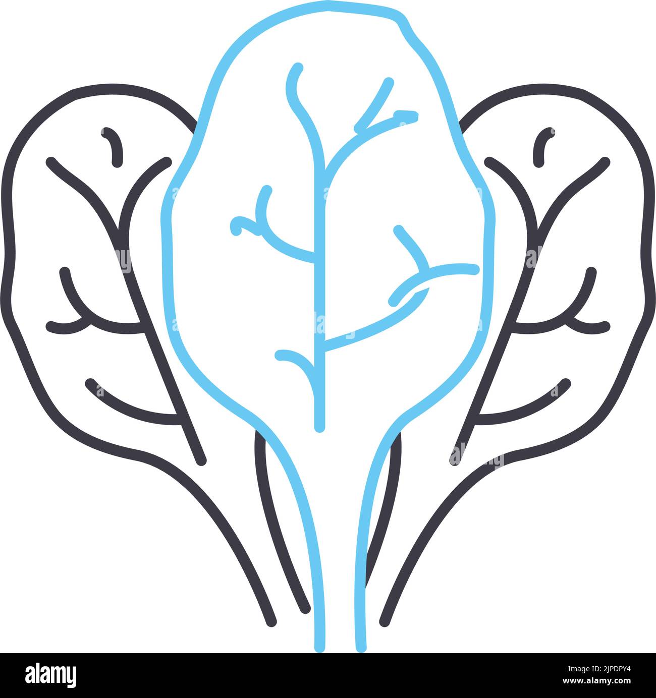 icona della linea di spinaci freschi, simbolo di contorno, illustrazione vettoriale, segnale concettuale Illustrazione Vettoriale