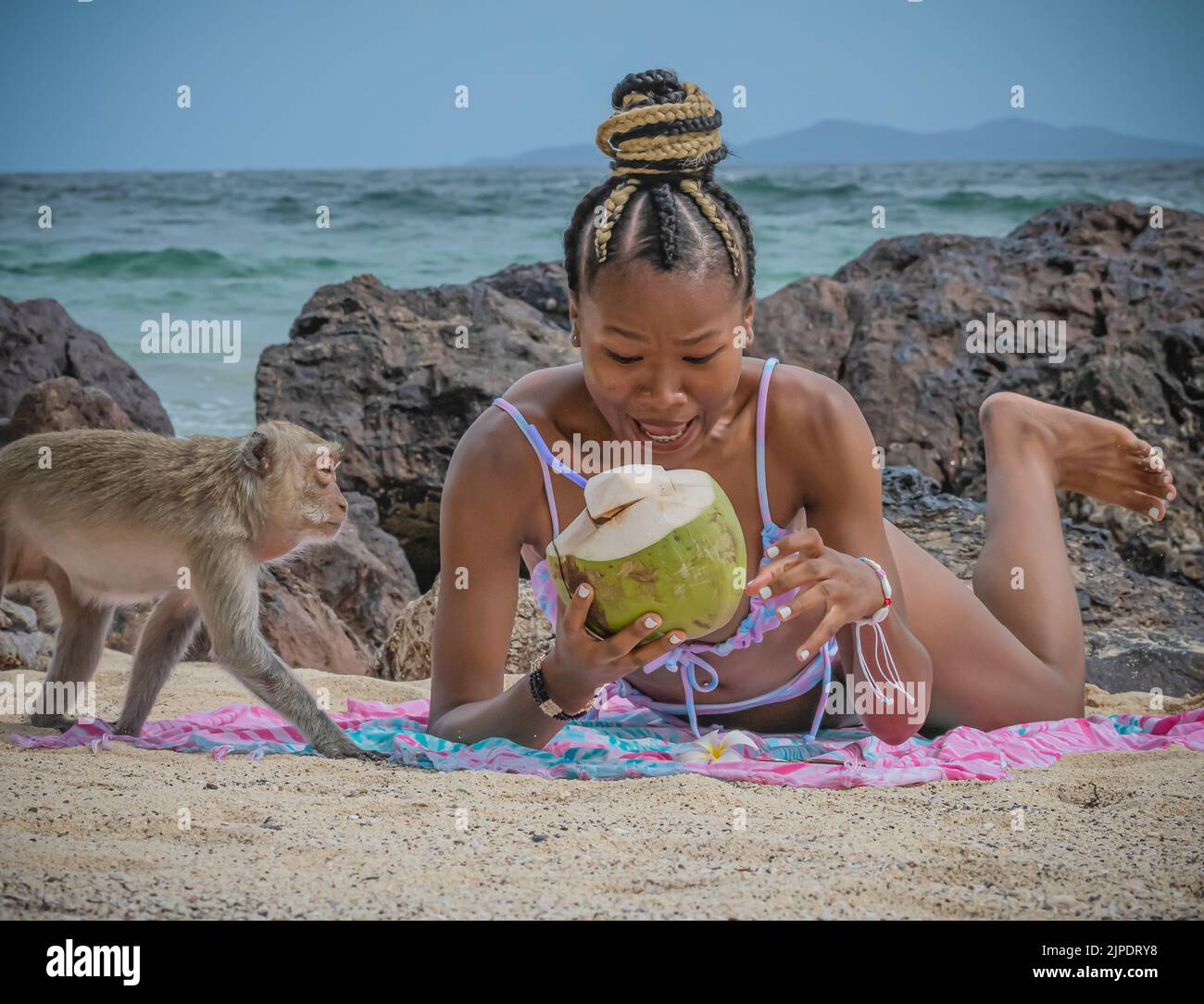 Fotografa con Alissa e una scimmia Genommen nella regione dell'isola di Koh Larn in Thailandia, nella parte orientale della regione centrale Foto Stock
