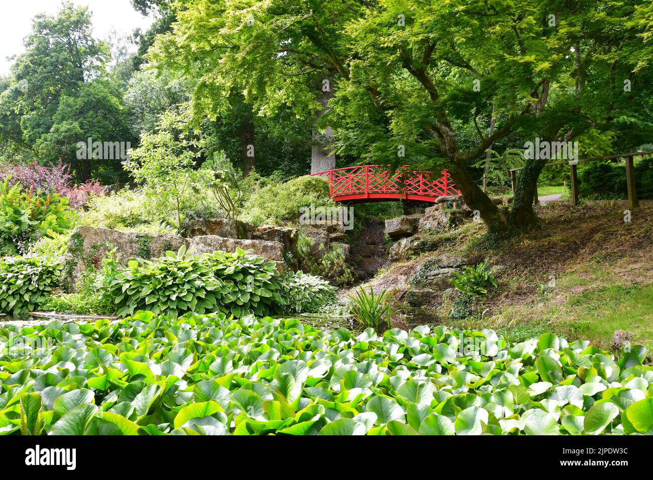 Batsford Arboretum, Moreton-in-Marsh, Cotswolds, Gloucestershire, Regno Unito Foto Stock