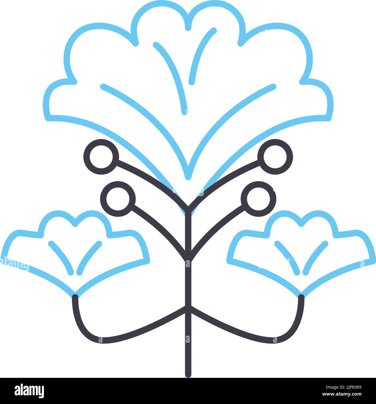 icona della linea gingko biloba, simbolo del contorno, illustrazione vettoriale, segnale concettuale Illustrazione Vettoriale