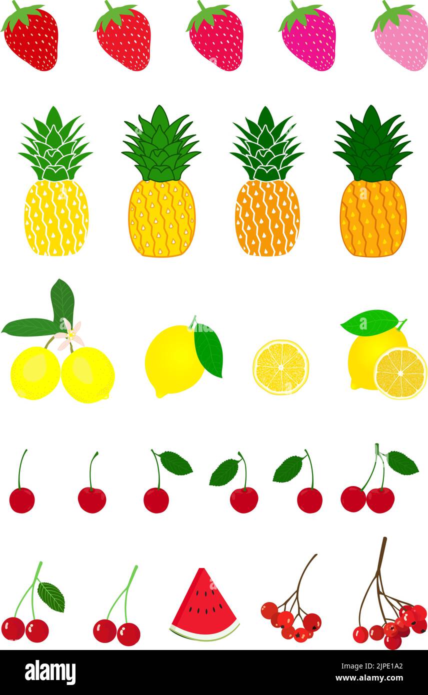 Una serie verticale di frutti vari isolati su uno sfondo bianco Illustrazione Vettoriale
