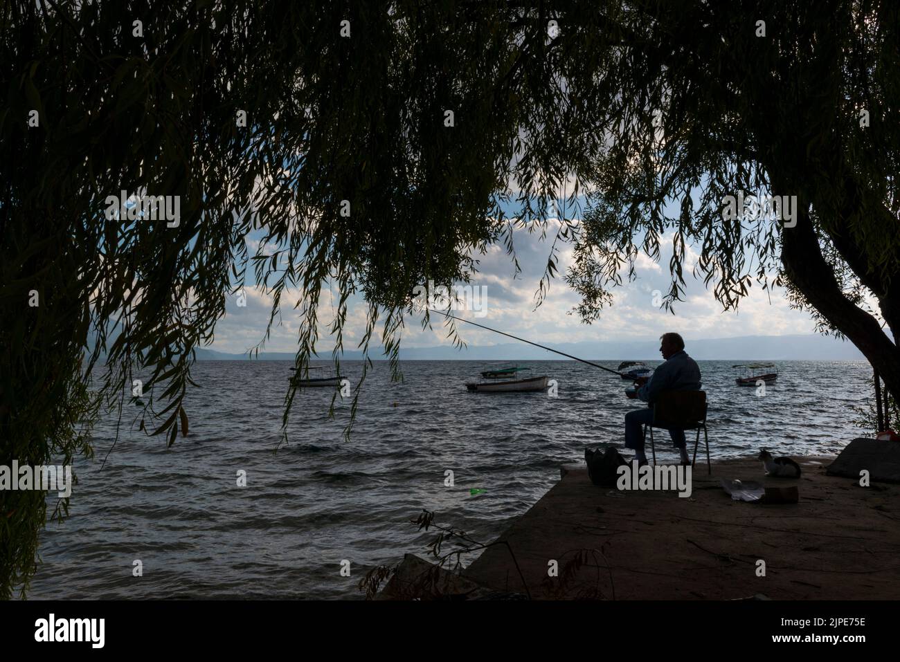 Silhouette di un pescatore sportivo e gatto opportunistico dietro di lui sotto un albero al Lago Ohrid, Macedonia del Nord. Foto Stock