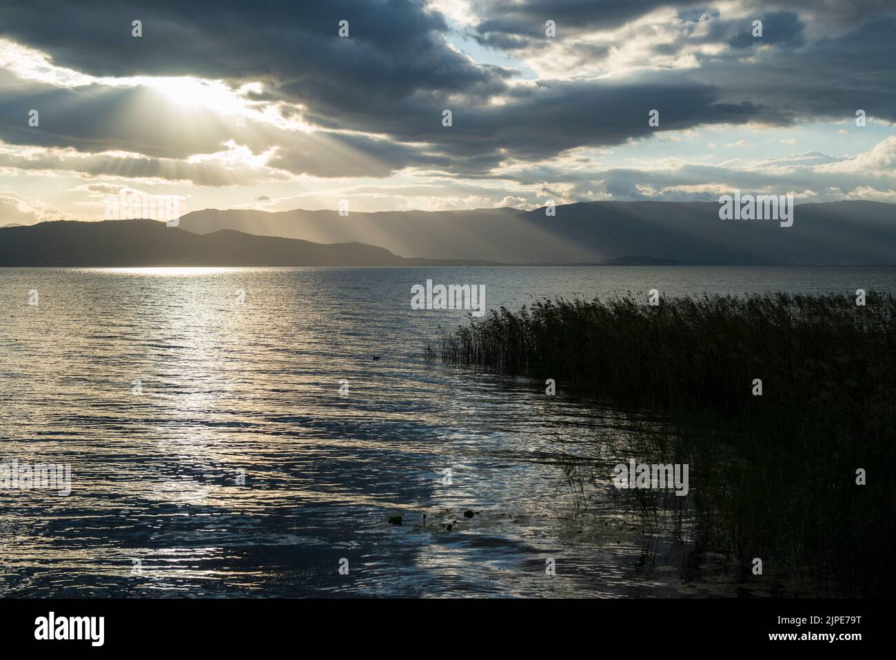 Sole dietro le nuvole sulla riva coperta di canneti del Lago di Ohrid, Macedonia del Nord, Europa Foto Stock