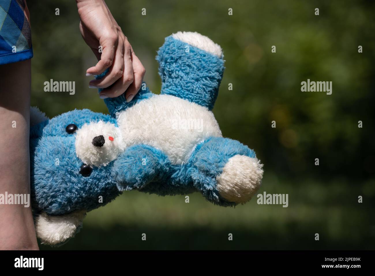 mano di donna che tiene un orsacchiotto blu. Foto di alta qualità Foto Stock