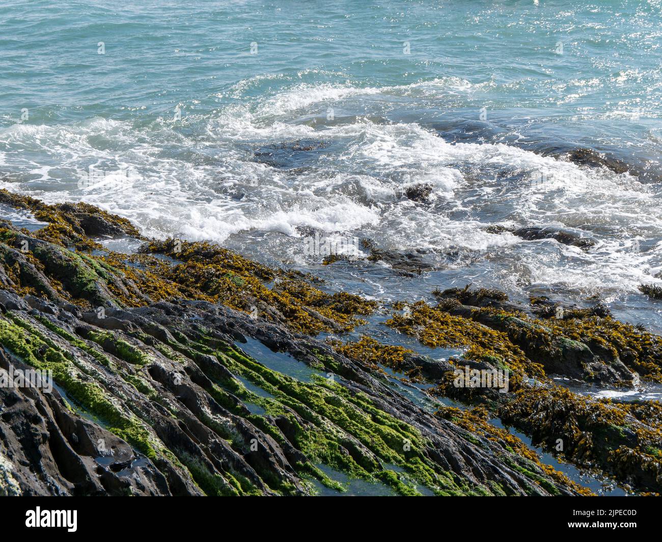 Schiuma sulle onde e rocce costiere. Alghe sulle rocce, paesaggio. Muschio verde sulla roccia vicino al corpo d'acqua Foto Stock