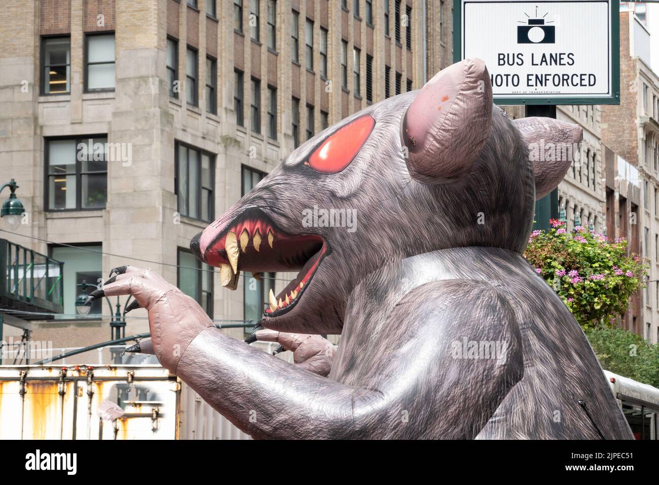'Scabby' è un Rat gigante gonfiabile alle dimostrazioni dell'Unione, E. 34th Street, New York City, USA Foto Stock