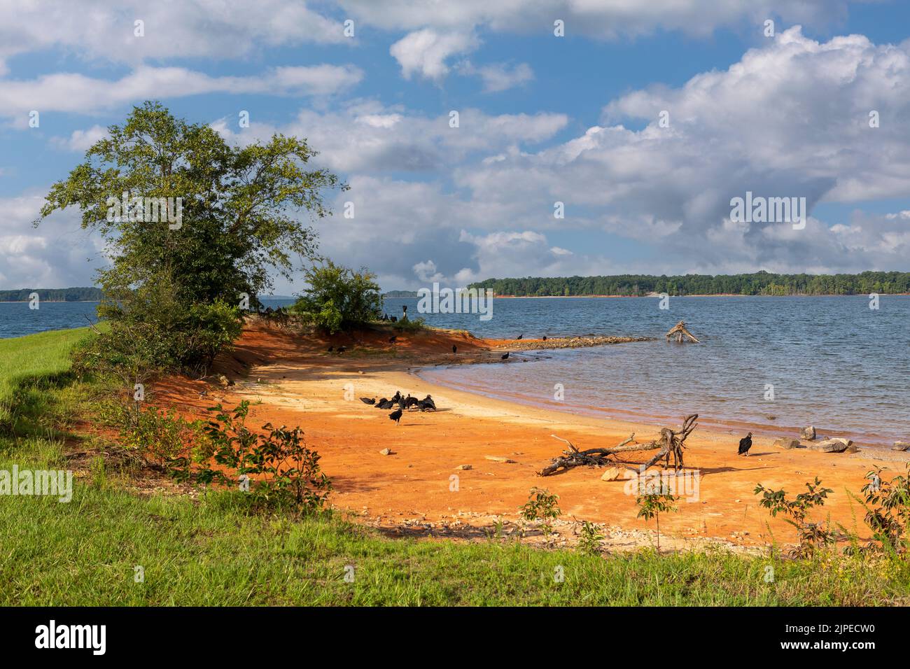 Bel lago Kerr in Virginia US. Lago artificiale fiancheggiato da spiagge sabbiose circondate da boschi. Creato da dannazione del fiume Dan. Foto Stock