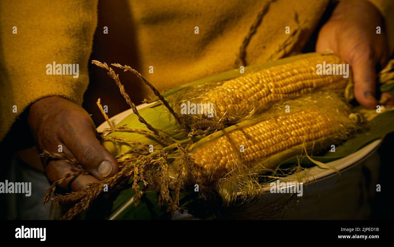 Foto ravvicinata di un piatto di mais sulla pannocchia. Concetto di raccolto autunnale. Foto Stock