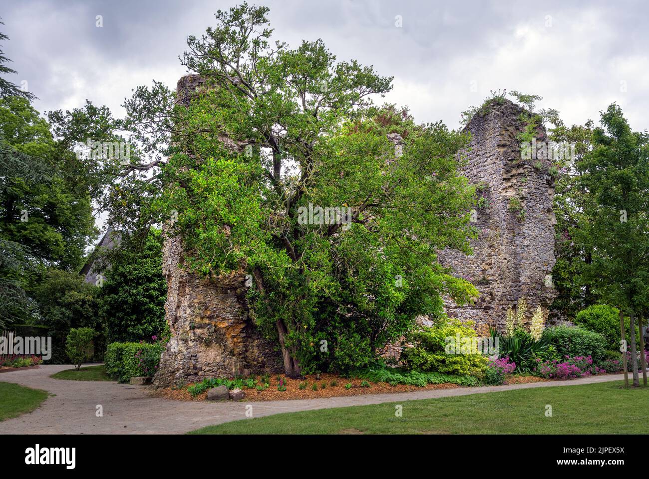 Rovine del mantenimento del vecchio castello nel parco di Fresnay-sur-Sarthe, Pays de Loire, Francia Foto Stock