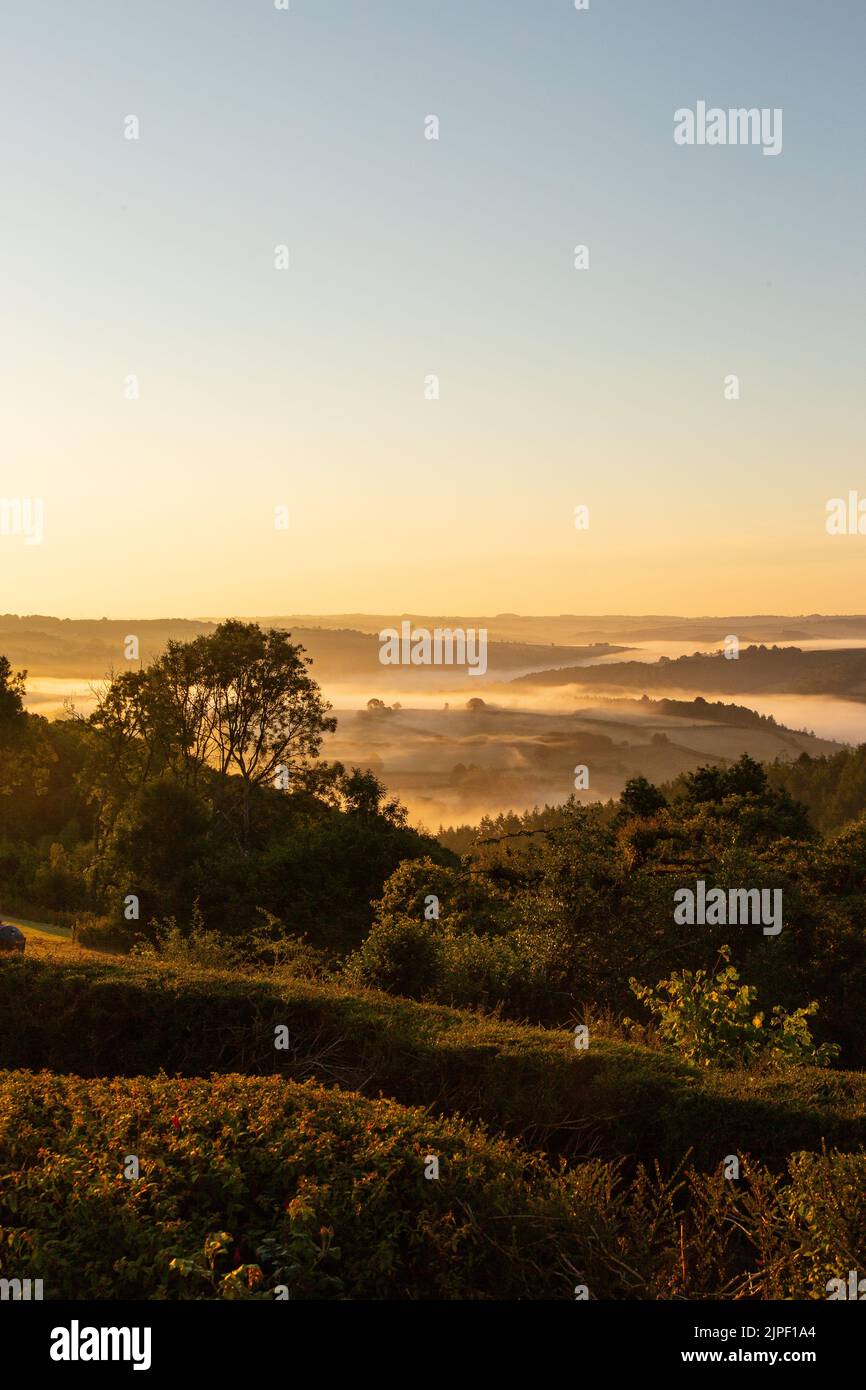 Sunrise, Taw Valley, High Bickington, North Devon, Inghilterra, Regno Unito. Foto Stock