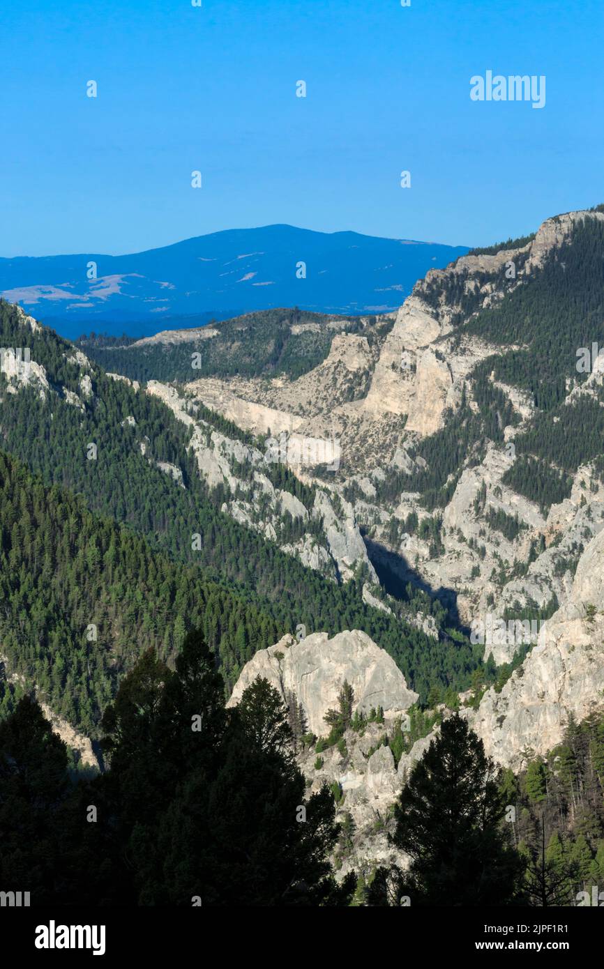 canyon di beaver creek nella foresta nazionale di helena vicino a york, montana Foto Stock