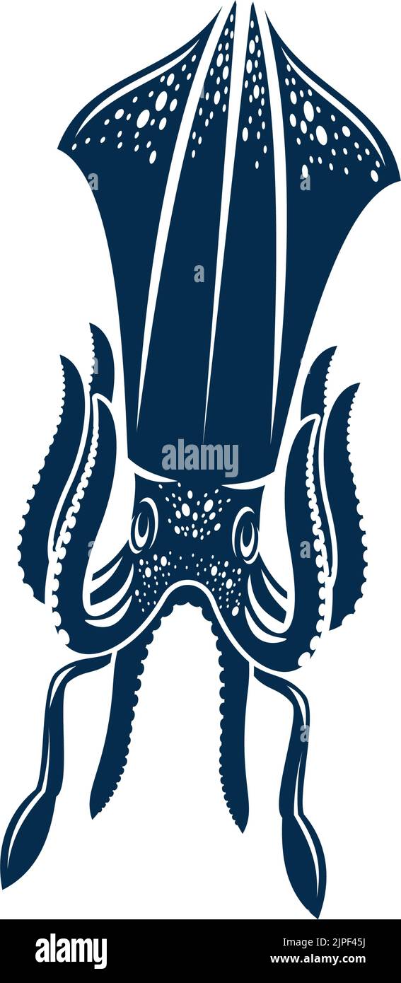 Calamari molluschi isolati Cephalopods icona. Calamari a gancio disegnati a mano con corpi allungati, occhi grandi, otto braccia e due tentacoli, simmetria bilaterale e mantello. Mascotte di animali subacquei marini Illustrazione Vettoriale