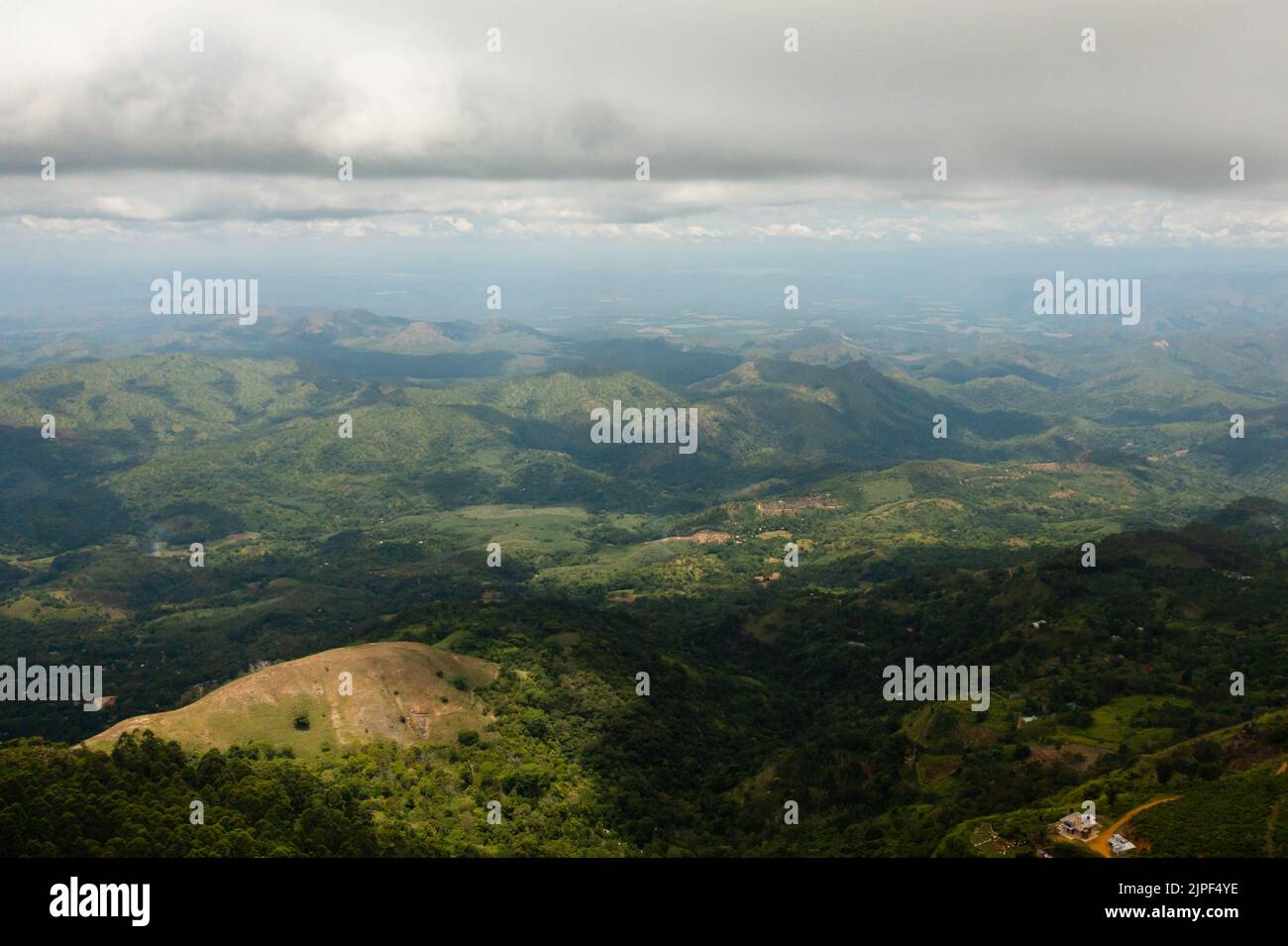 Verde foresta pluviale e giungla nelle montagne dello Sri Lanka vista dall'alto. Foto Stock