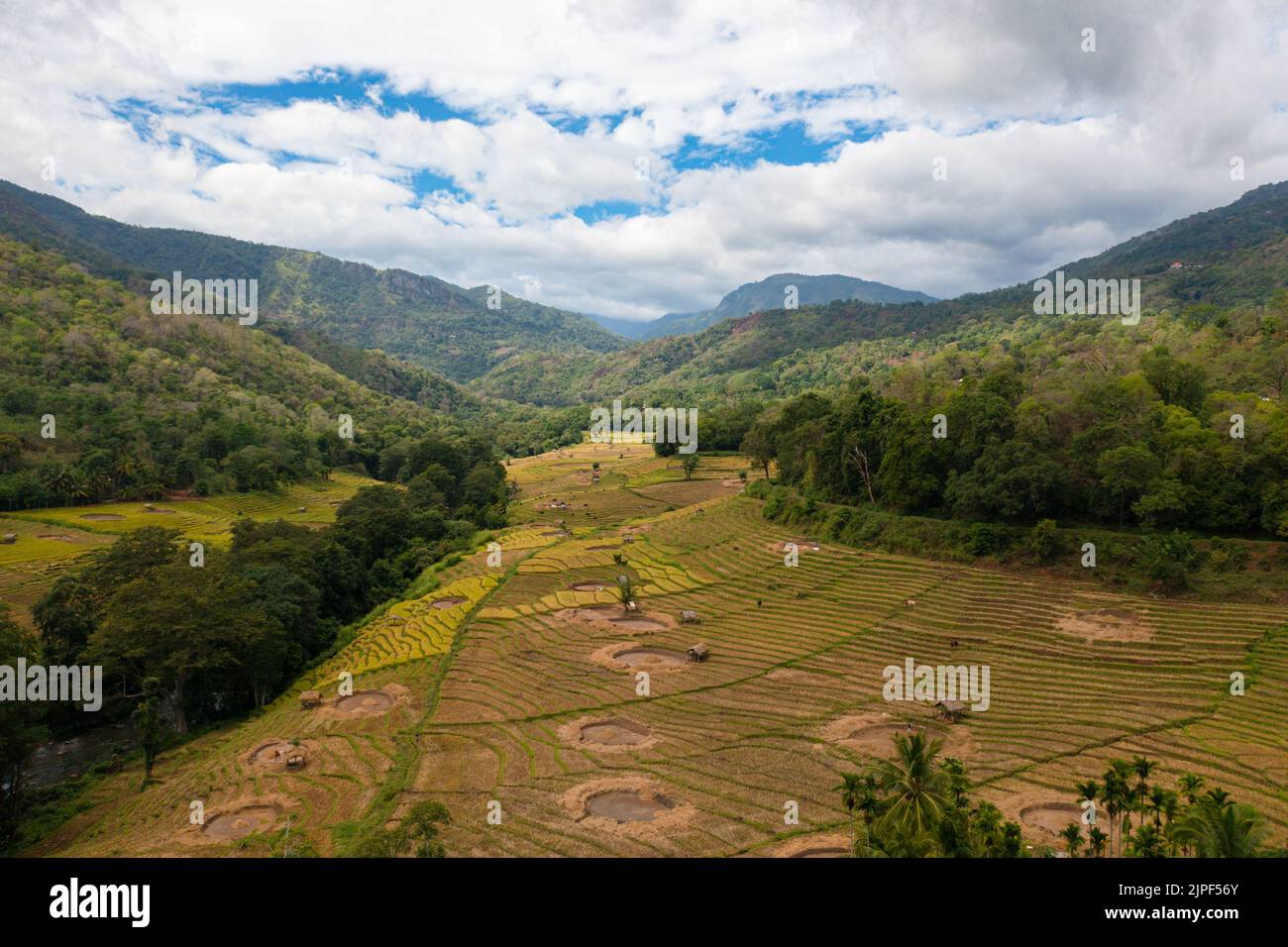 Vista dall'alto delle terre agricole e delle risaie in una valle di montagna. Paesaggio agricolo. Sri Lanka. Foto Stock