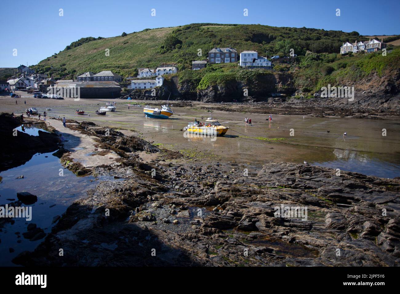 Porto Isaac Porto con la bassa marea. Cornovaglia, Inghilterra Foto Stock