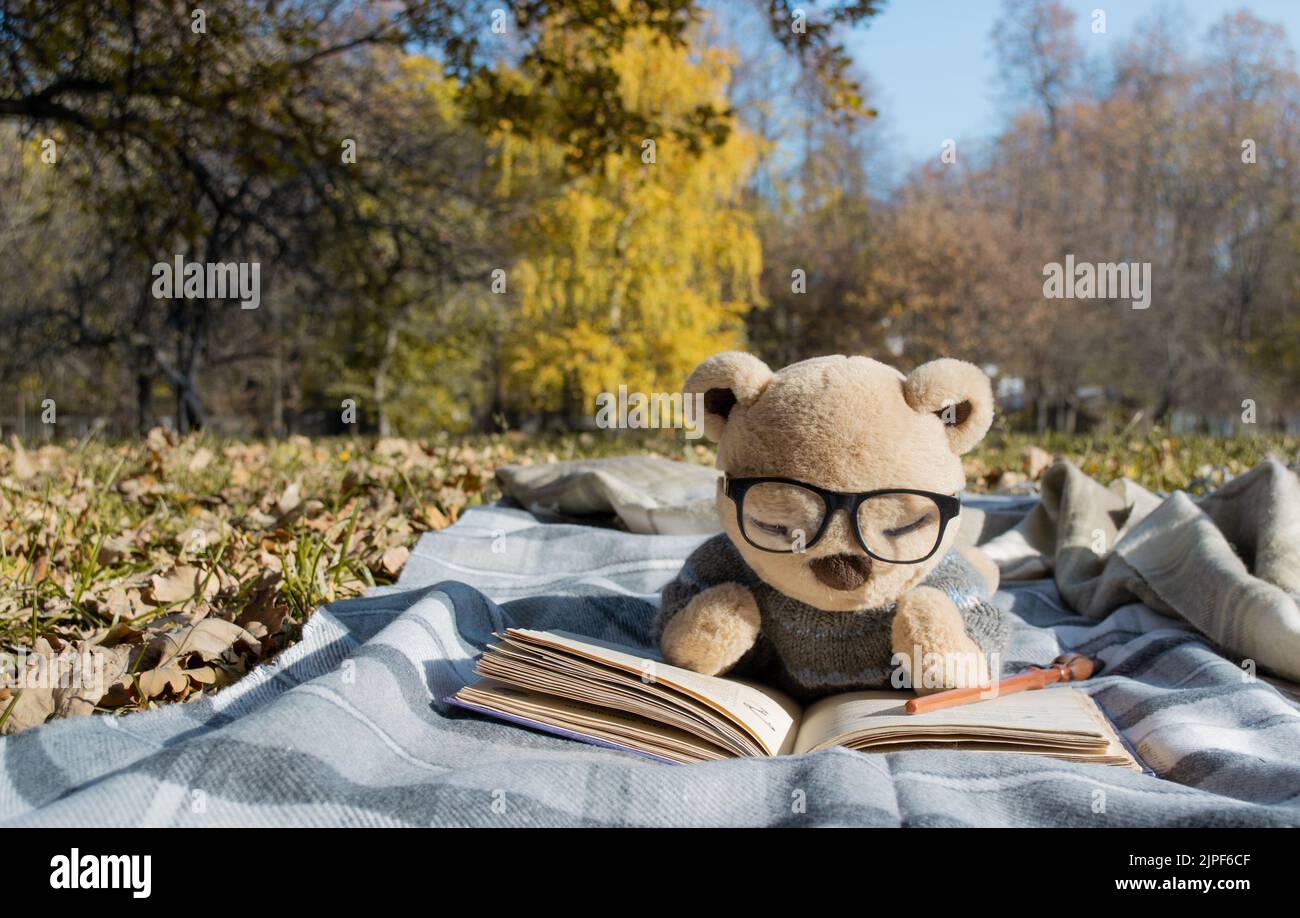 Orsetto ripieno di orsacchiotti con occhiali è sdraiato sul plaid in autunno parco come se la lettura di un libro. Spazio di copia. Foto Stock