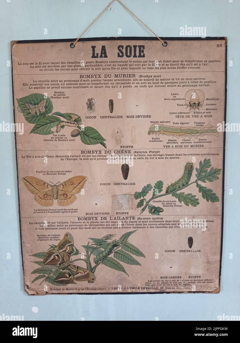 AFFICHE ANCIENNE. LA SOIE. FRANCIA Foto Stock