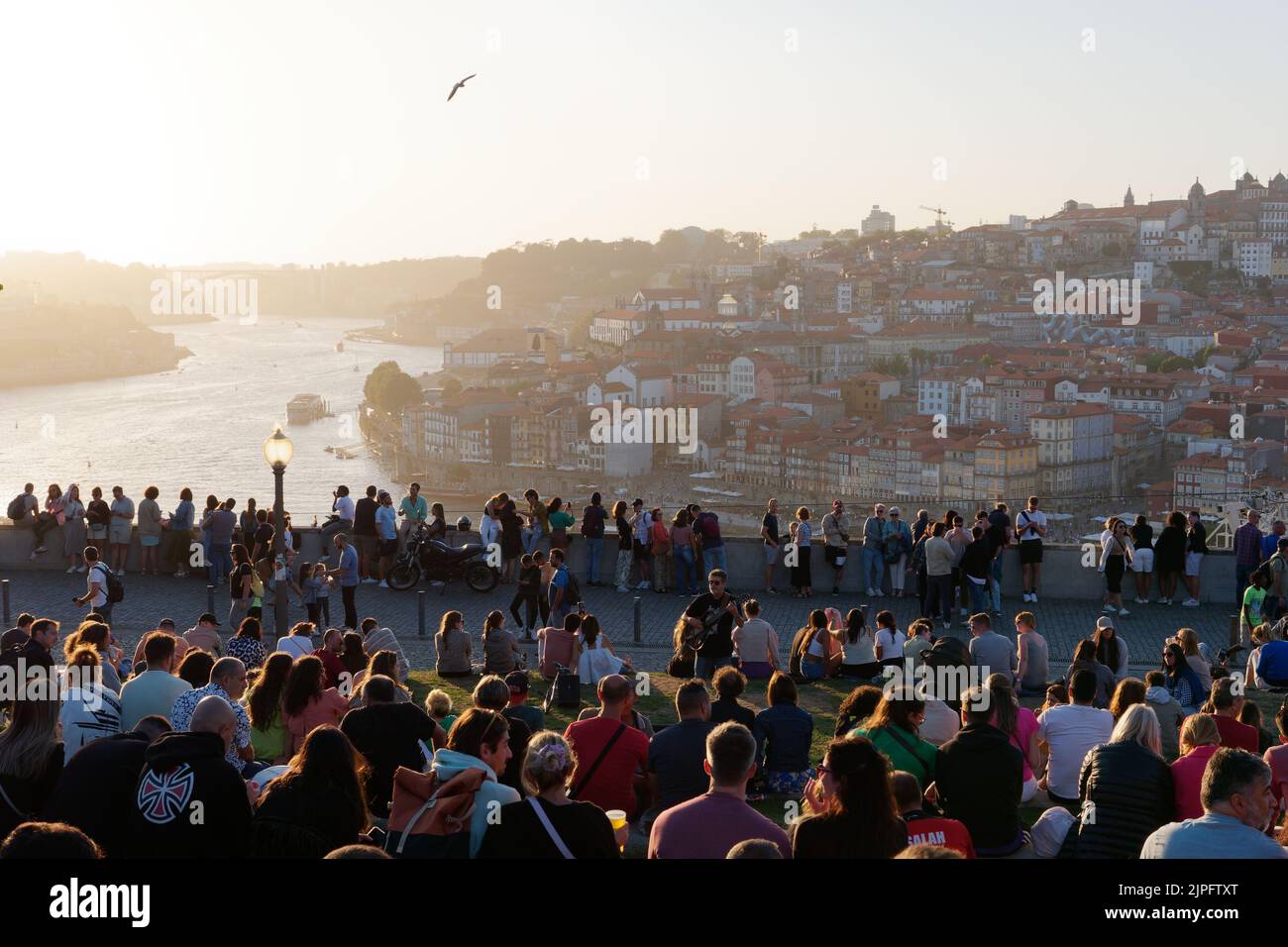 Vista da Jardim do Morro a Vila Nova de Gaia sul fiume Douro verso Porto, Portogallo Foto Stock