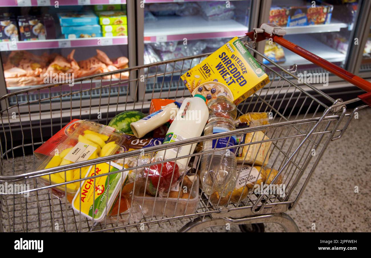 Supermercato alimentare e alimentari in generale come pasta, cereali e olio, come il costo della vita crisi ha visto i prezzi dei prodotti alimentari e le bollette energetiche aumentare drasticamente Foto Stock