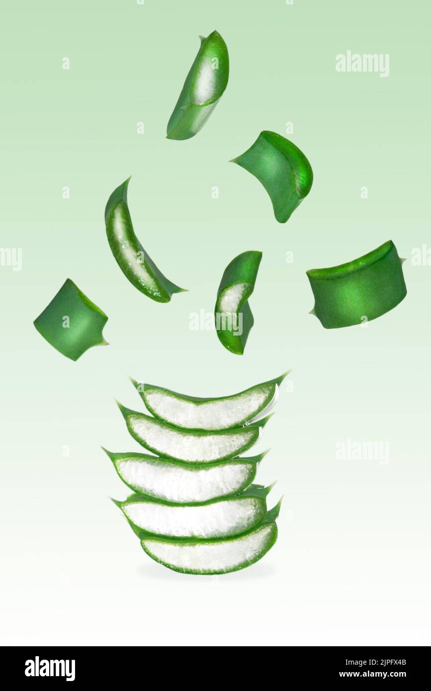 Levitazione di pezzi di aloe vera su sfondo verde, prodotto cosmetologico. Foto Stock