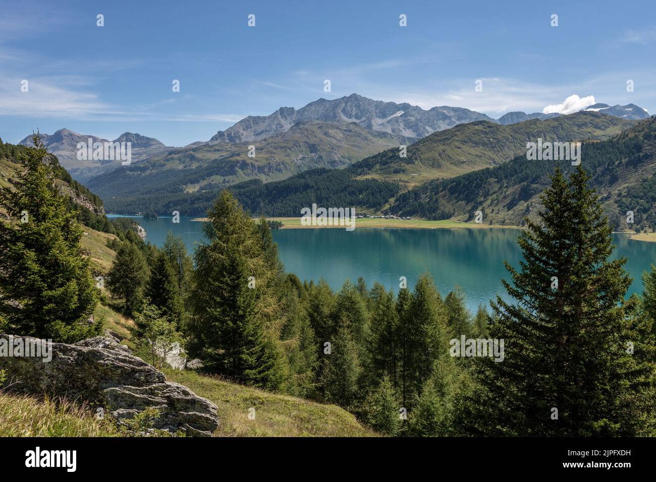 viaggiare in svizzera, paesaggi con montagne rocciose, laghi azzurri e foreste di pini mozzafiato, pascoli con anima Foto Stock