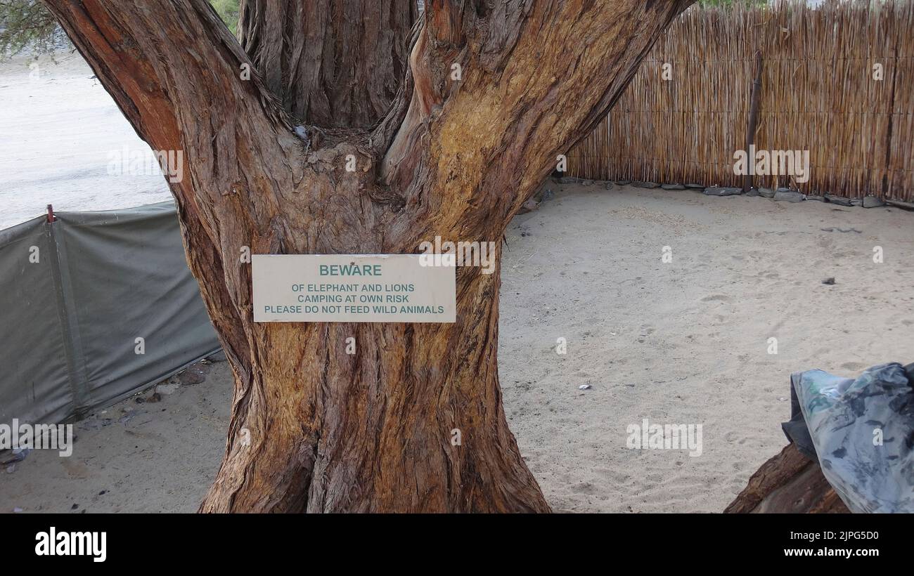 Cartello di avvertimento in un albero di camelthorn nel fiume ugab avvertimento di elefanti e leoni Foto Stock