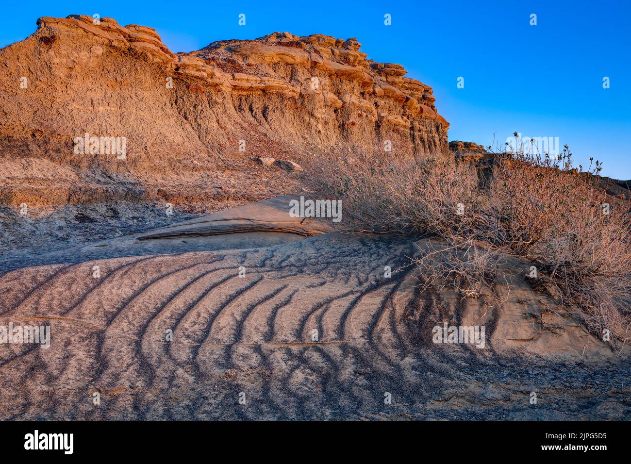 Bisti Badlands / De-Na-Zin Wilderness Area a Sunset, New Mexico, Stati Uniti Foto Stock