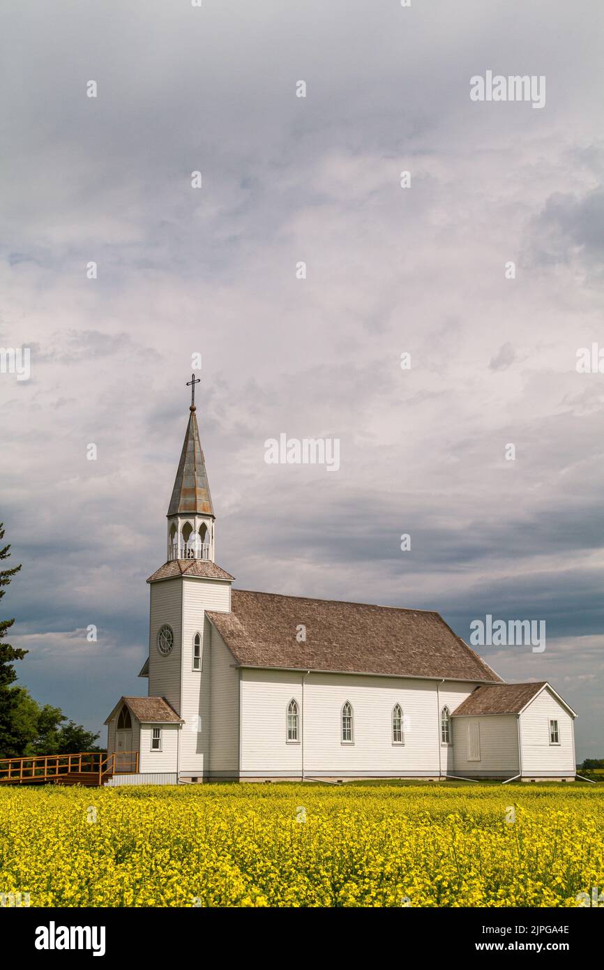 Chiesa cattolica romana di Santa Teresa con campo di canola. Notre-Dame-de-Lourdes, Manitoba, Canada. Foto Stock