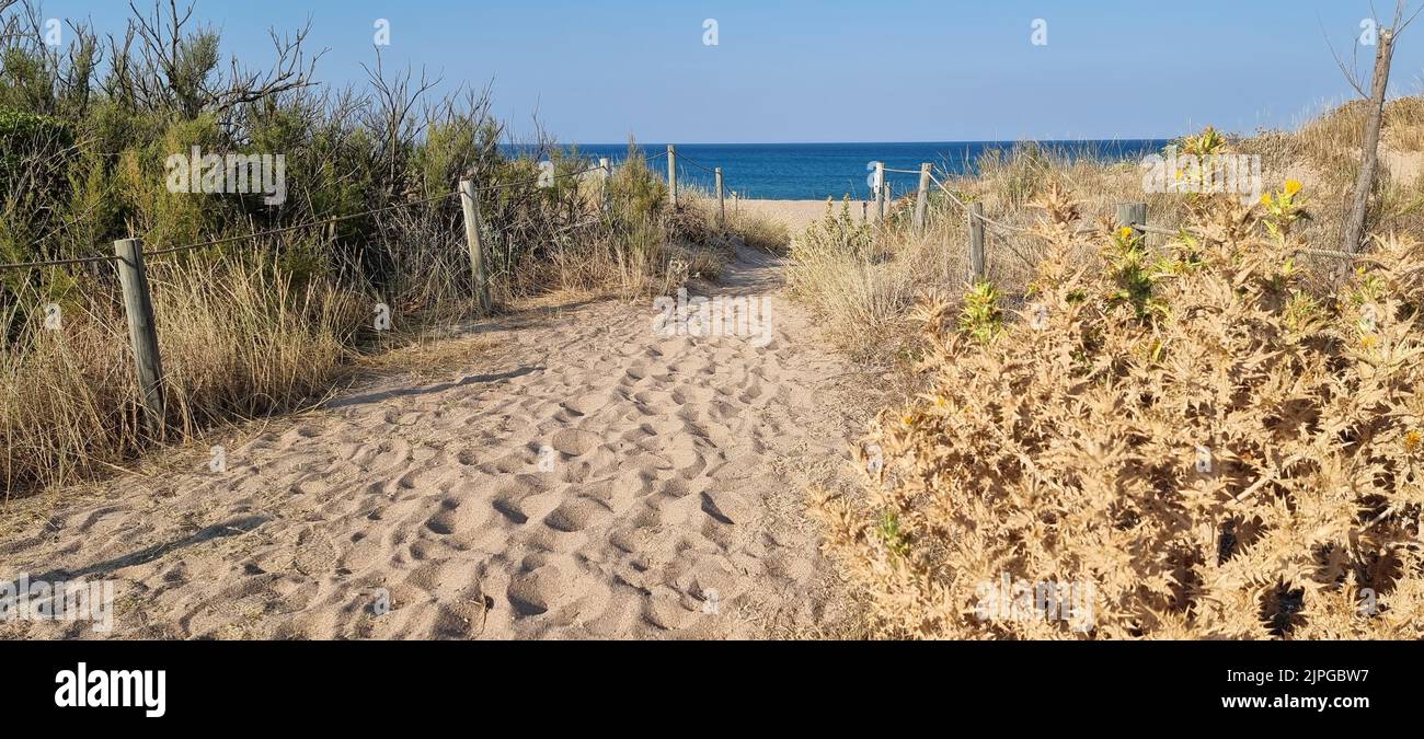 Pals Costa Brava Spagna luglio 2022 vista delle dune, spiaggia e mare in bel tempo con cielo blu Foto Stock