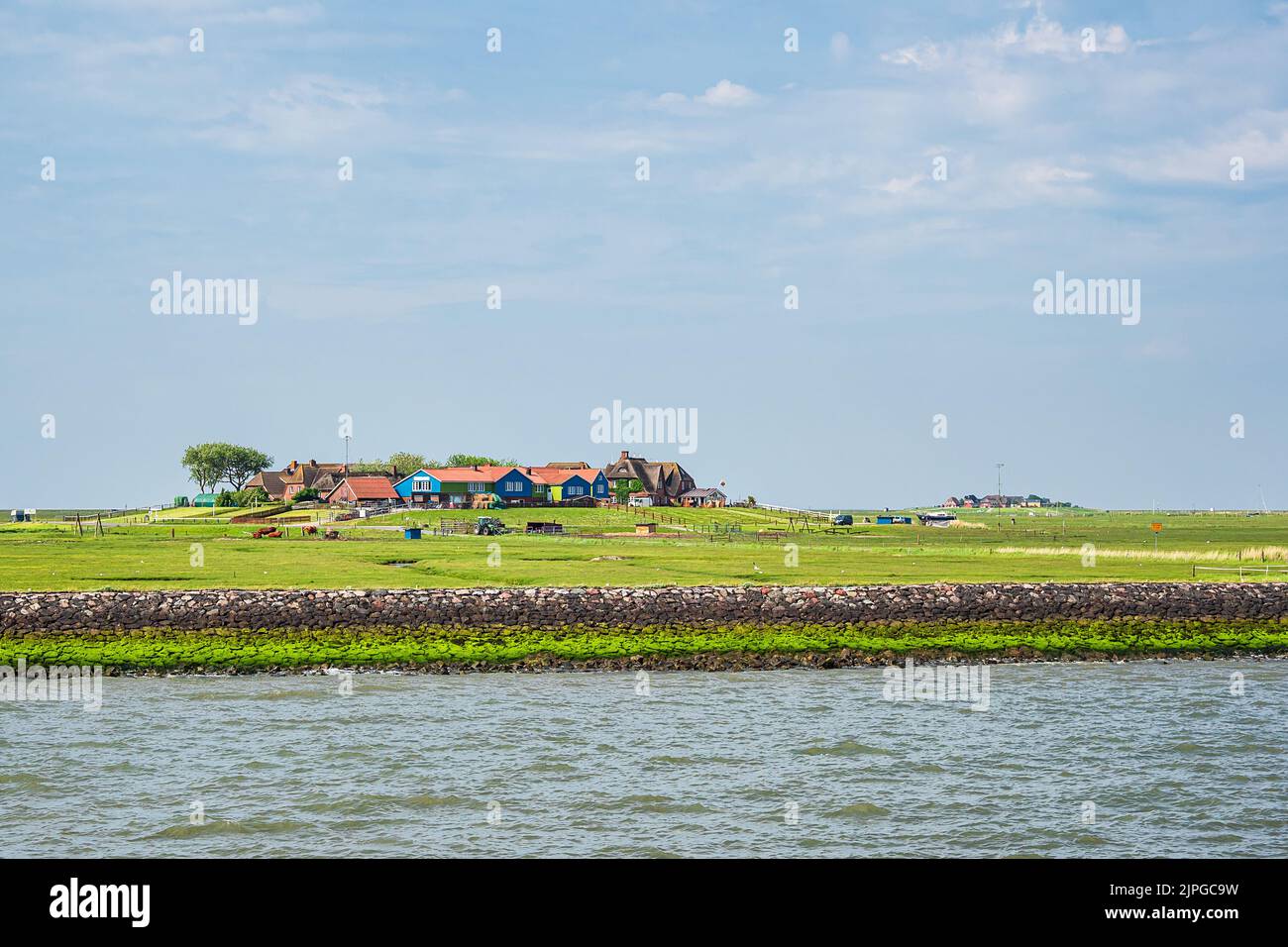 mare del nord, hallig, hooge, mare del nord, halligs, zoccoli Foto Stock