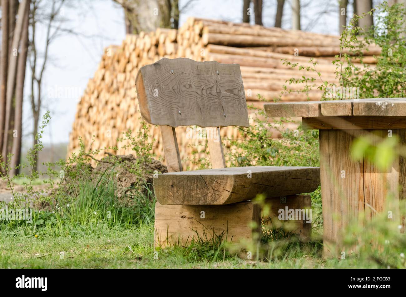 Panca in legno con tavolo da picnic lungo un sentiero escursionistico nella campagna della regione di Westerwald, Renania-Palatinato, Germania, Europa Foto Stock