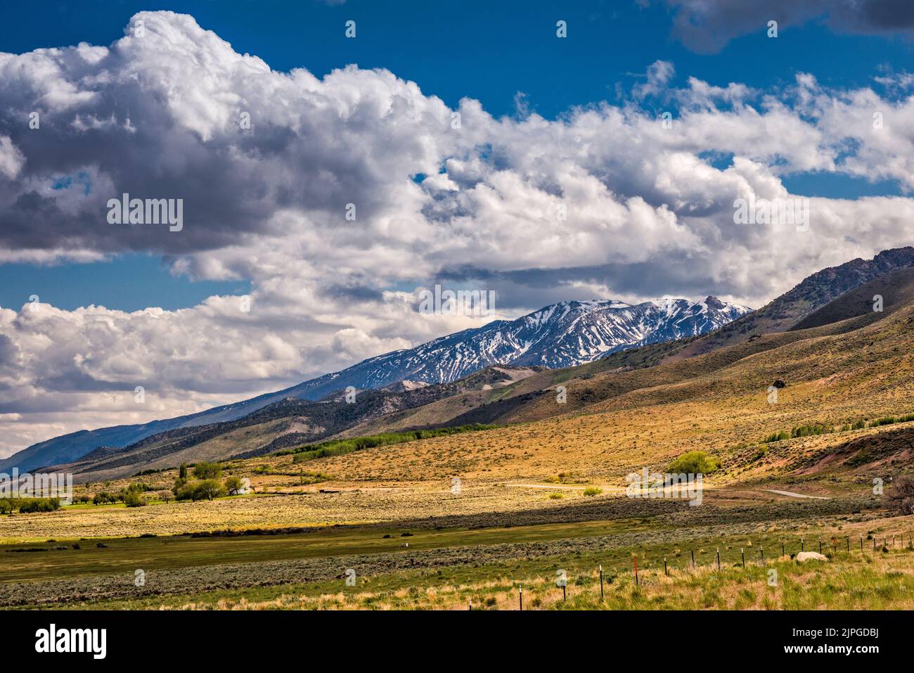 Pearl Peak nelle Ruby Mountains sulla Ruby Valley, primavera, vista da Hastings Cutoff Road, Nevada, USA Foto Stock